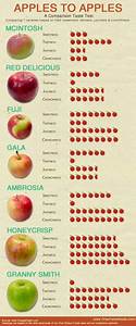 Apples To Apples A Comparison Taste Test Food Infograph Food