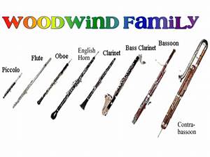 Woodwind Instruments Instruments Of The Orchestra Piccolo Instrument