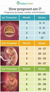 Calculating Pregnancy Weeks To Months Babycenter