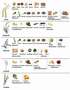 Oas Chart Allergy Syndrome Food Allergies Pollen Allergies