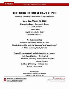 Rabbit And Cavy Clinic Osu Extension Greene County
