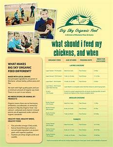 Big Sky Organic Feeds Chicken And Turkey Feeding Chart Bulk Natural Foods
