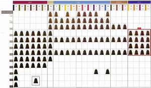 Wella Color Charm Chart Wella Hair Color Chart Hair Colour Wella