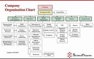 Manufacturing Organizational Chart Images Of Template Com Company
