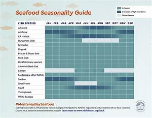 Buying Storing Preparing Seafood Monterey Bay Fisheries Trust
