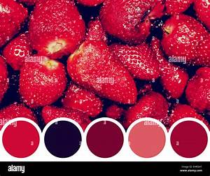 Strawberry Color Hi Res Stock Photography And Images Alamy