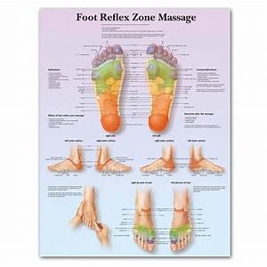 Foot Symptom Chart Anatomy Of Foot Anatomical Charts Posters Anatomy