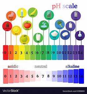 Stomach And Ph Levels A Gutsy Girl