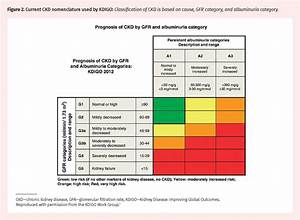 Approach To The Detection And Management Of Chronic Kidney Disease