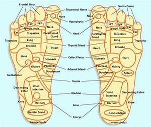Pin On Acupressure Points Chart