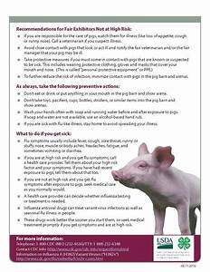 Minimizing The Spread Of Zoonotic Disease Including Swine Influenza