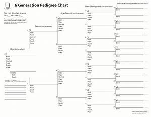 17 Best Images About Pedigree Charts On Pinterest Trees Family Tree