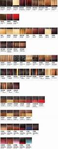 27 Best Ideas For Hair Color Chart Weave Hair Color Chart Hair Color