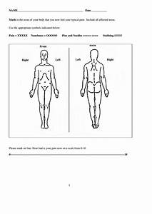 15 Body Charts Free To Download In Pdf