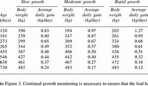 Average Daily Gains For Low Moderate And Rapid Growth Of Thoroughbred