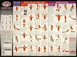 Free Bullworker Wallchart Isometric Exercise Training Planner Nick