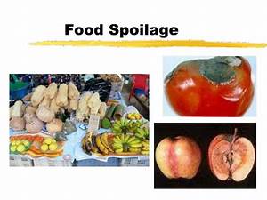 Ppt Food Spoilage Powerpoint Presentation Id 3394389