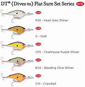 Crazy Fisherman Rapala Depth Fish Species Chart Part 1