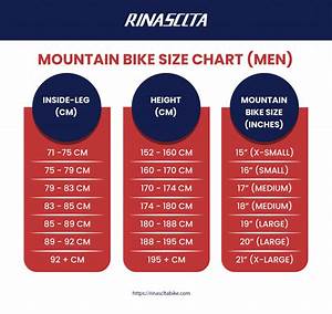 Bike Size Chart Infographic Get The Right Size In 2 Mins