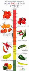 1000 Images About Spice Chiles On Pinterest Different Types Of