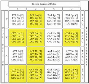 The Genetic Code Table Download Scientific Diagram