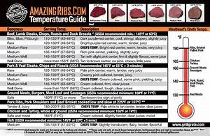 Thermapen Owners Lounge Ocau Forums