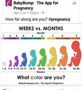 How Many Months Am I Babycenter
