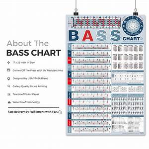 Bass Note Chart Of Scale Chords Bass Reference Poster For Beginners