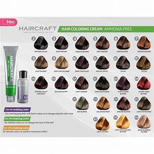 Stock Haircraft Ammonia Free Hair Coloring Cream 60ml By Hbc Shopee