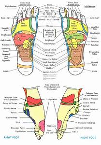 25 Best Images About Meridian Charts On Pinterest Foot Reflexology