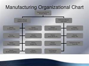 5 Organizational Chart Of Manufacturing Company Company