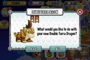 Double Terra Dragon Dragon City Wiki Fandom Powered By Wikia