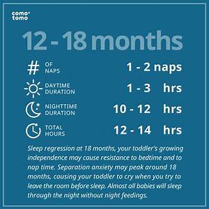 Baby Sleep Chart Comotomo Comotomo Comotomo Products Comotomo
