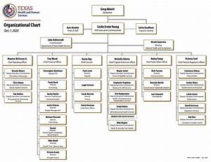 Txhhs Organizational Chart Hogg Foundation For Mental Health