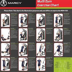 Printable Home Gym Exercise Chart