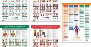 Myofascial Syndrome Trigger Points Chart Google Search