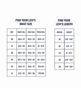 Top 43 Imagen Levi 39 S Sizing Explained Abzlocal Mx