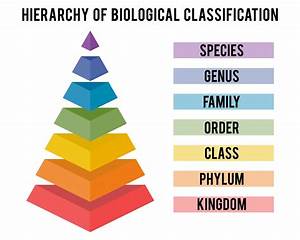 Australian Taxonomy Resources Number Around 70 Million Specimens