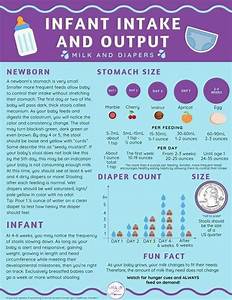 Infant Intake And Output Newborn Stomach Size Newborn Diapers