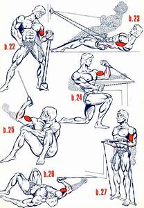 50 Best Bullworker Images In 2019 Exercises Exercise Chart Work Outs