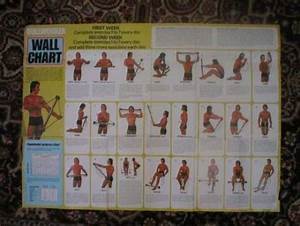 Bullworker Exercise Chart With Training Videos Show How To Use The