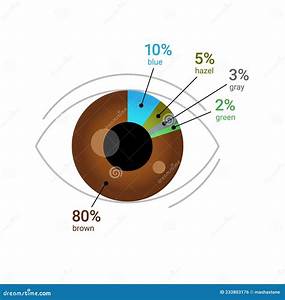Eye Color Percentage Across The Globe Human Eye With Pie Chart Diagram