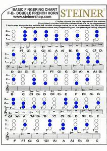 Double French Horn Chart By Steiner Music Issuu
