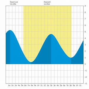 Tide Charts For Hook In New Jersey On June 1 2021 By Tides Net