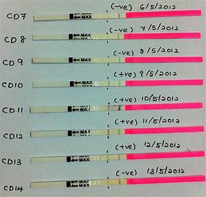 Ovulation Test Part 2