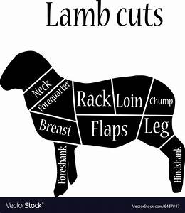 Butcher Chart Lamb Royalty Free Vector Image Vectorstock