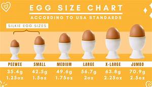 A Complete Guide To Silkie Chicken Eggs Silkie Chicken Experts