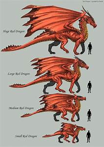 Another Sheet Of The Red Dragon It S Not The Last One More Will