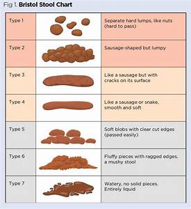 bristol stool chart toddler tutorial pics