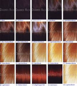 Buy Hair Color Chart From Dharmex Indian Hair Exports India Id 1586988